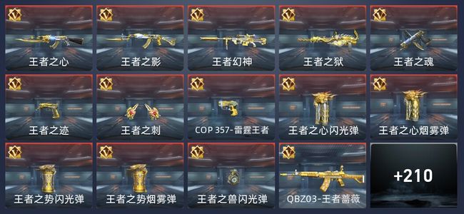 穿越火线：枪战王者V6 23王者 251英雄武器 9英雄角色 348万化 专家