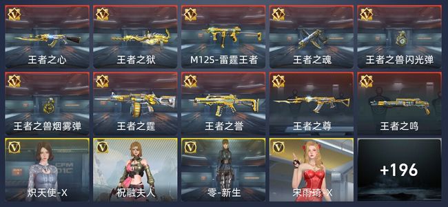 穿越火线：枪战王者V5 10王者 295英雄武器 5英雄角色 376万化 专家S