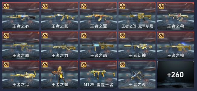 穿越火线：枪战王者V9 56王者 506英雄武器 11英雄角色 512万化 大师S