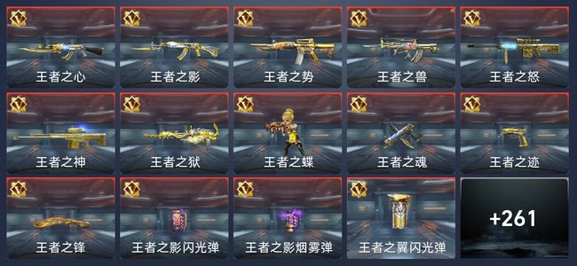 穿越火线：枪战王者V6 31王者 421英雄武器 9英雄角色 427万化 专家