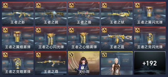 穿越火线：枪战王者V6 13王者 305英雄武器 9英雄角色 351万化 专家S