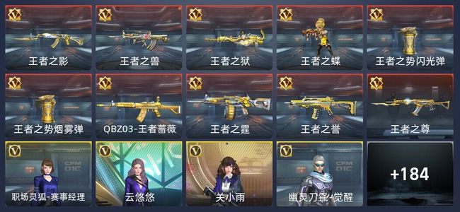 穿越火线：枪战王者V5 10王者 301英雄武器 7英雄角色 314万化 专家S