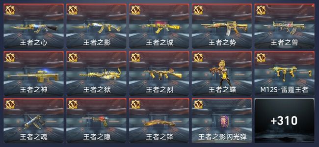 穿越火线：枪战王者V8 39王者 484英雄武器 14英雄角色 583万化 专家
