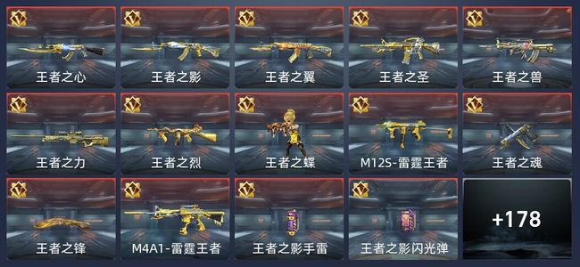 穿越火线：枪战王者V8 48王者 269英雄武器 5英雄角色 143万化 大师