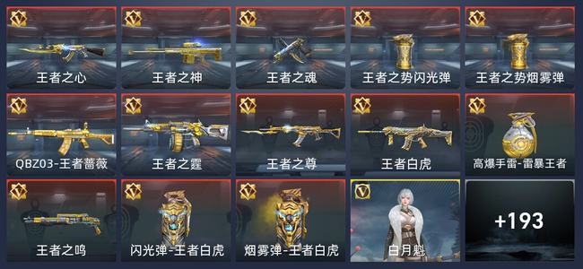 穿越火线：枪战王者V6 18王者 315英雄武器 1英雄角色 389万化 专家S