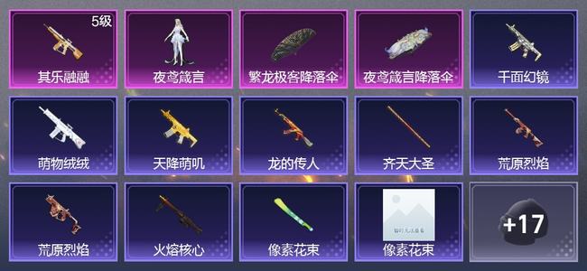 和平精英0载具 1升级枪 1粉装 0尾迹 19枪皮 13套装 4881热力 0印记 青铜