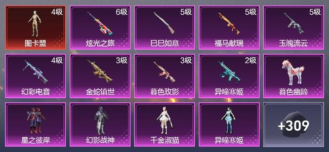 和平精英1载具 8升级枪 6粉装 6尾迹 180枪皮 137套装 58051热力 8印记 皇冠