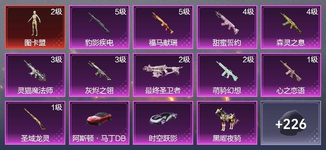 和平精英4载具 10升级枪 4粉装 7尾迹 141枪皮 95套装 51323热力 4印记 青铜