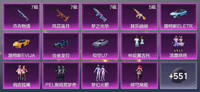 和平精英4载具 4升级枪 7粉装 4尾迹 312枪皮 260套装 101113热力 16印记 无