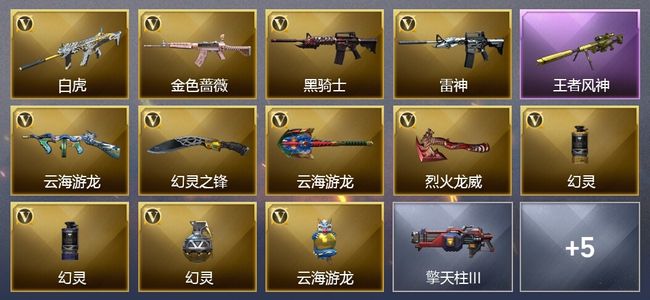 穿越火线（CF）1王者武器 12V武器 1V角色 2皮肤 可排位 新锐