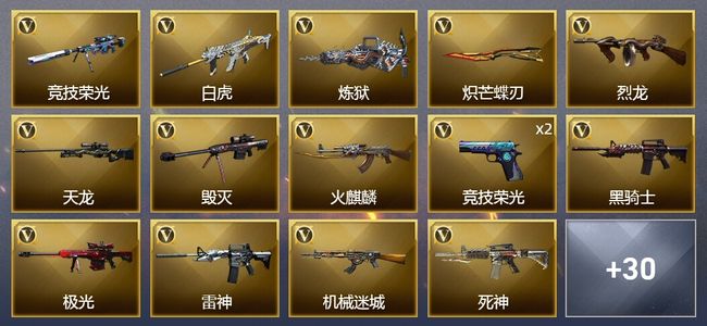 穿越火线（CF）2王者武器 49V武器 4V角色 11皮肤 可排位 枪王