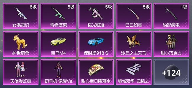 和平精英3载具 5升级枪 3粉装 2飞行器 84枪皮 48套装 31006热力 4印记 王牌