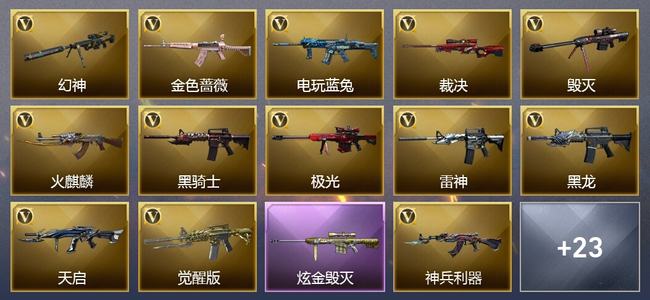 穿越火线（CF）2王者武器 1炫金武器 25V武器 2V角色 14皮肤 可排位 枪王