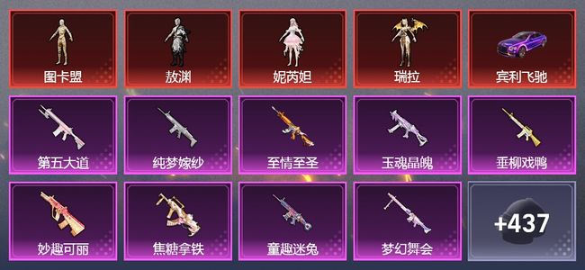 和平精英【苹果版】12载具 28升级枪 44粉装 20飞行器 260套装 171894热力 19印记