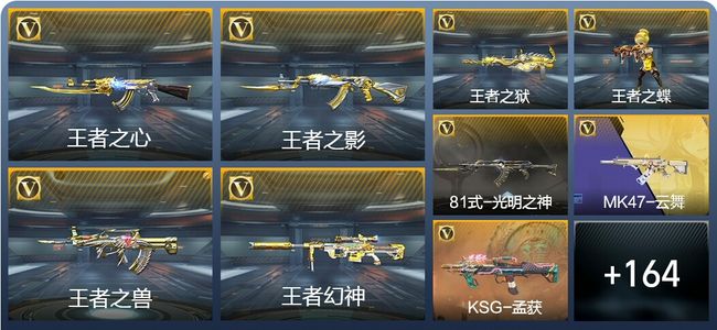 穿越火线：枪战王者V6 12王者武器 193英雄武器 4英雄角色 305万化 枪王SS