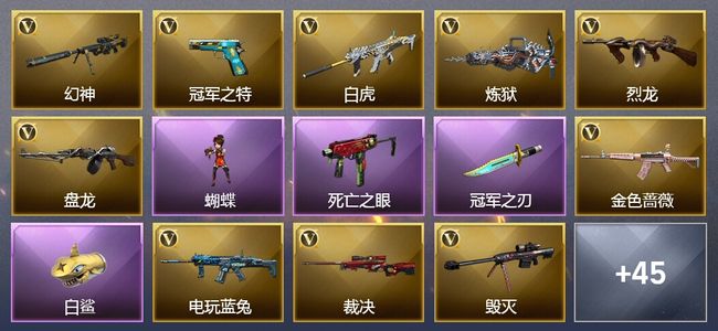 穿越火线（CF）1传说角色 14王者武器 1炫金武器 65V武器 20V角色 42皮肤 可排位