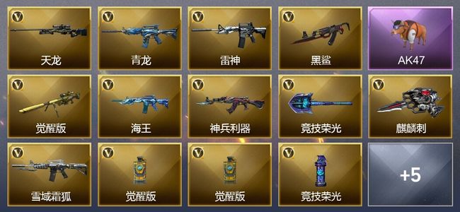 穿越火线（CF）5王者武器 16V武器 13V角色 4皮肤 可排位