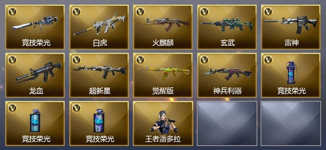 穿越火线（CF）1王者武器 13V武器 4V角色 1皮肤 可排位