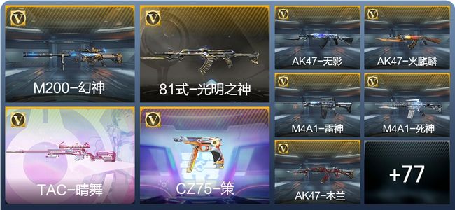 穿越火线：枪战王者V3 153英雄武器 新锐