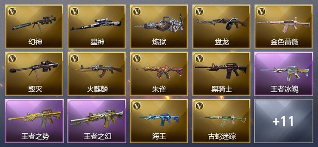 穿越火线（CF）3王者武器 23V武器 16V角色 3皮肤 可排位