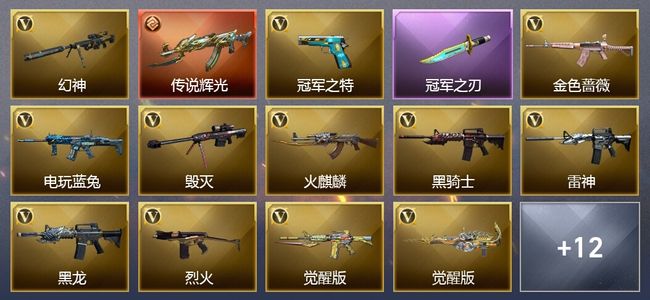 穿越火线（CF）1传说武器 2王者武器 37V武器 8V角色 16皮肤 可排位