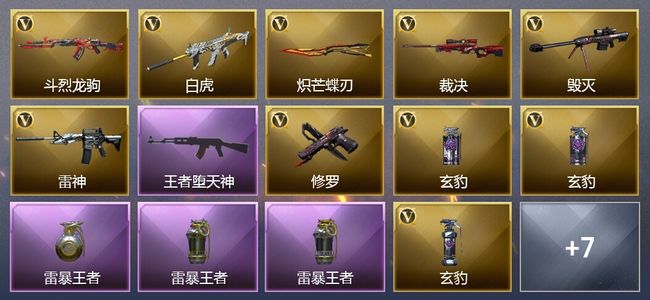 穿越火线（CF）5王者武器 27V武器 13V角色 6皮肤 可排位