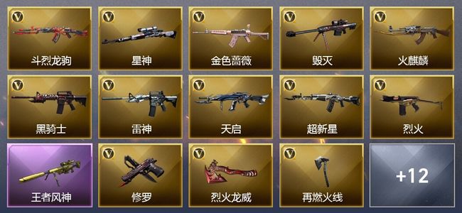 穿越火线（CF）1王者武器 29V武器 13V角色 12皮肤 可排位