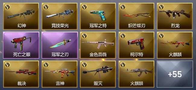 穿越火线（CF）1传说武器 12王者武器 4炫金武器 57V武器 30V角色 32皮肤 可排位