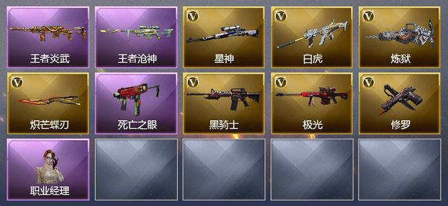 穿越火线（CF）1王者武器 8V武器 8V角色 1皮肤 可排位