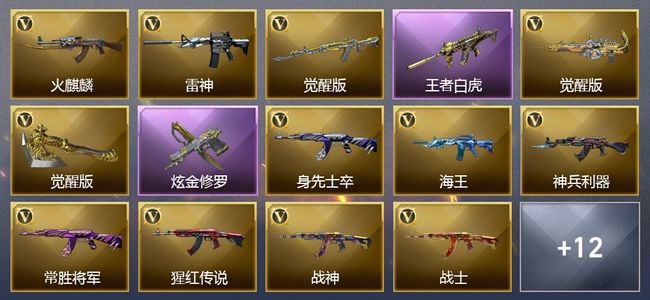 穿越火线（CF）5王者武器 1炫金武器 20V武器 26V角色 9皮肤 可排位