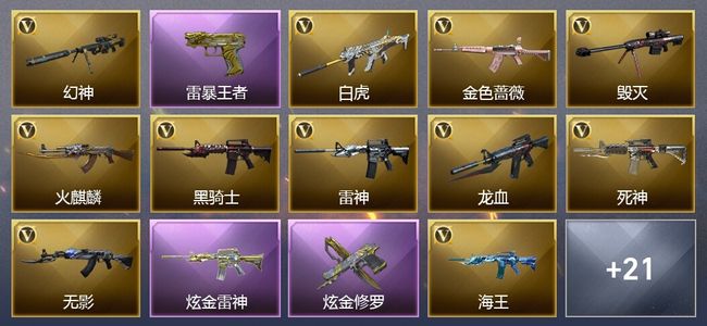 穿越火线（CF）8王者武器 2炫金武器 36V武器 14V角色 10皮肤 可排位