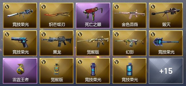穿越火线（CF）0传说角色 0传说武器 1王者武器 0炫金武器 21V武器 20V角色 3皮肤 可排位 无