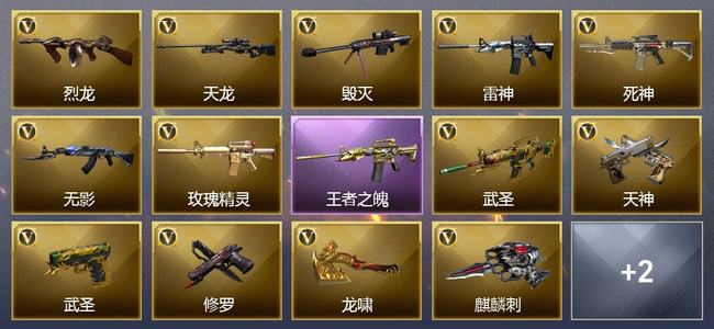 穿越火线（CF）0传说角色 0传说武器 1王者武器 0炫金武器 19V武器 4V角色 1皮肤 可排位 精英