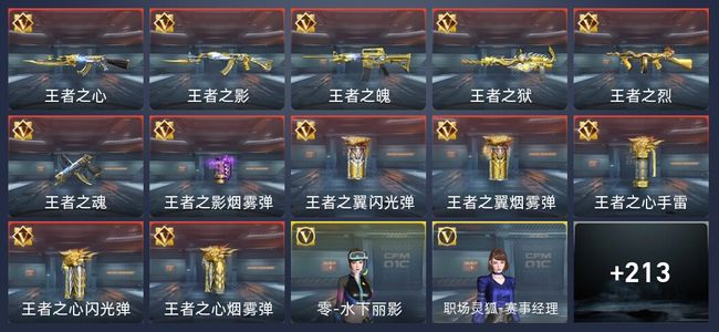 穿越火线：枪战王者12王者 217英雄武器 10英雄角色 432万化 专家S