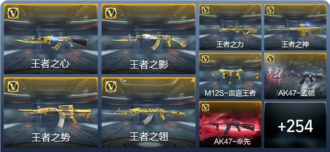 穿越火线：枪战王者33王者武器 263英雄武器 9英雄角色 488万化 专家S