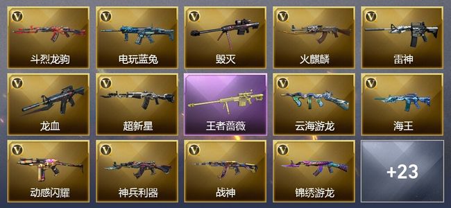 穿越火线（CF）1王者武器 26V武器 13皮肤 可排位 新锐