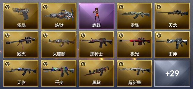 穿越火线（CF）4王者武器 2炫金武器 66V武器 9V角色 12皮肤 可排位