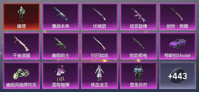 和平精英2载具 8升级枪 10粉装 8尾迹 230套装 11,5732热力 21印记
