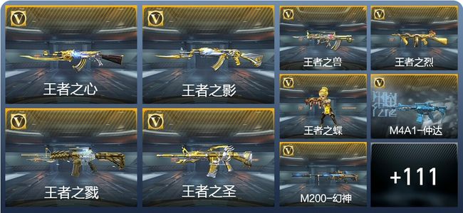 穿越火线：枪战王者V8 291英雄武器 新锐