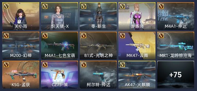 穿越火线：枪战王者V5 164英雄武器 新锐