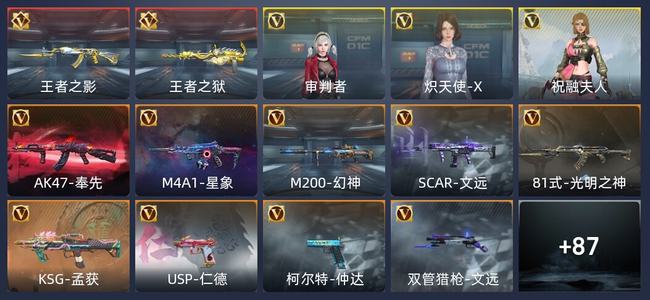 穿越火线：枪战王者V5 2王者 191英雄武器 新锐
