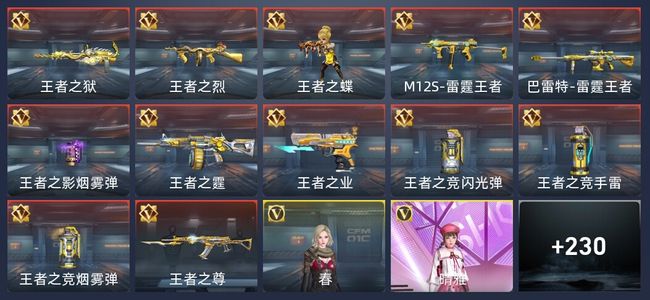 穿越火线：枪战王者V7 12王者 236英雄武器 8英雄角色 293万化 专家