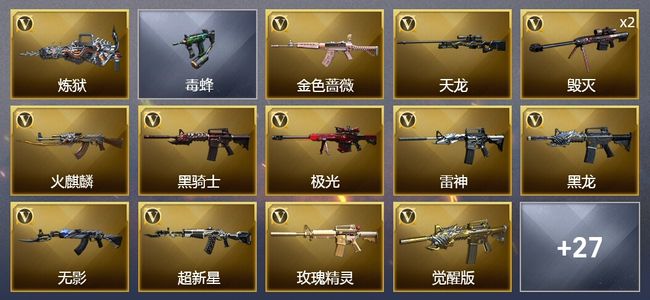 穿越火线（CF）42V武器 2V角色 12皮肤 不可排位 新锐