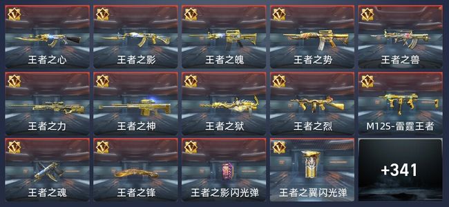 穿越火线：枪战王者V9 36王者 342英雄武器 13英雄角色 665万化 枪神