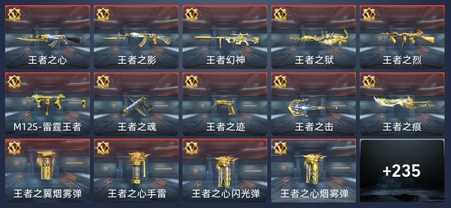 穿越火线：枪战王者20王者 241英雄武器 8英雄角色 453万化 专家S