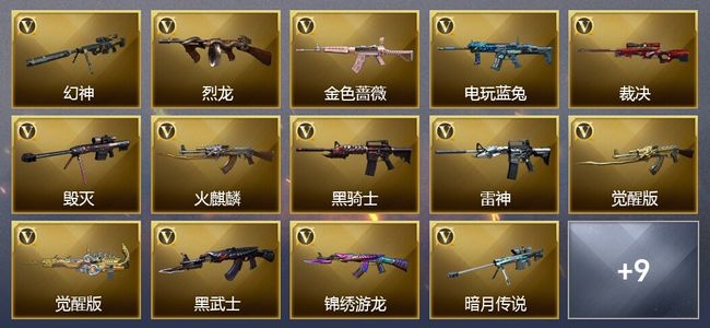 穿越火线（CF）1王者武器 17V武器 1V角色 10皮肤 可排位