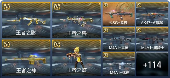 穿越火线：枪战王者6王者武器 123英雄武器 1英雄角色 239万化 专家S