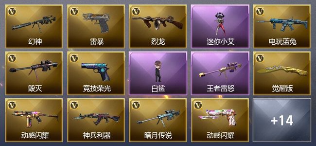 穿越火线（CF）1王者武器 22V武器 2V角色 17皮肤 可排位 专家