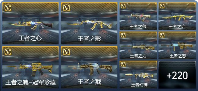 穿越火线：枪战王者V8 22王者武器 246英雄武器 6英雄角色 551万化 专家S