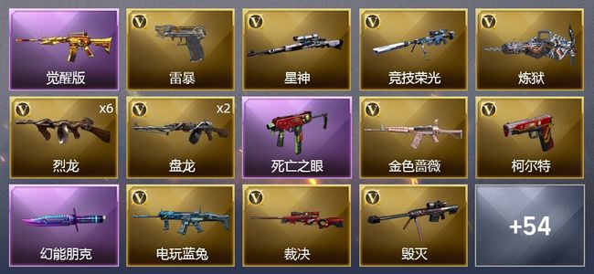 穿越火线（CF）1王者武器 82V武器 2V角色 19皮肤 可排位 新锐
